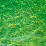 Descubra por que a água da piscina fica verde tão rápido e aprenda como tratar e prevenir o problema de maneira eficaz.