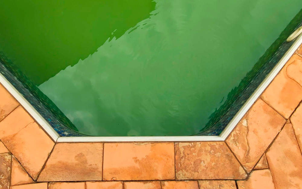 Saiba o que causa algas na piscina, como eliminar e quais cuidados diários ajudam a prevenir o problema e manter a água sempre limpa.